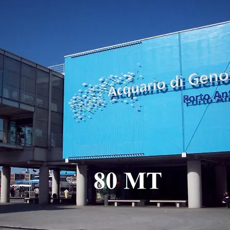 Acquario 2